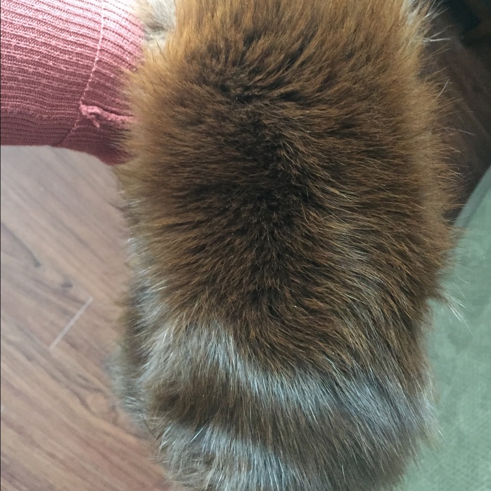 Fur head band
